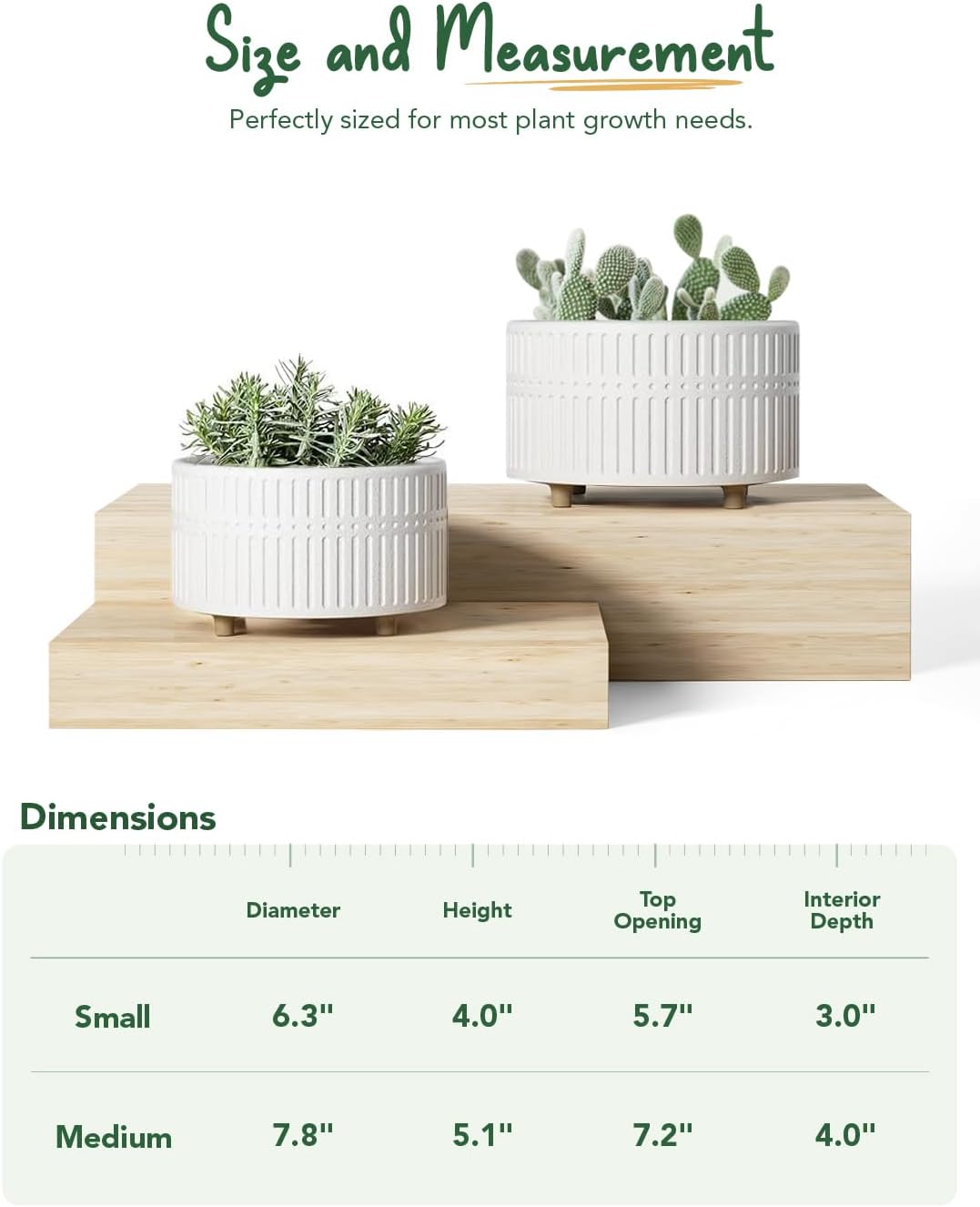 LE TAUCI Succulent Pots, 6.5+8 Inch Ceramic Indoor Plant Pot with Drai