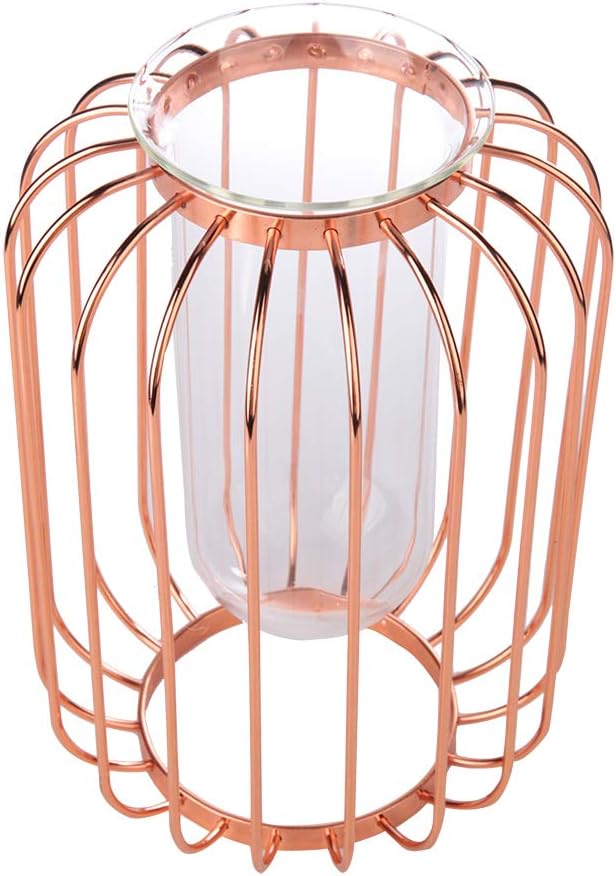 Lantern Shaped Wrought Iron Vase with Glass, Creative Simple Design fo