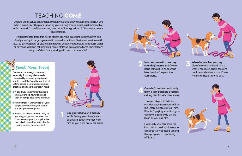 A Kid's Guide to Dogs: How to Train, Care for, and Play and Communicat