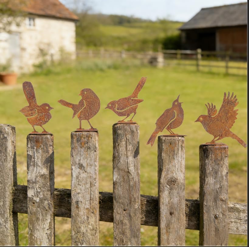 Geila 5PCS Rusty Birds Decoration, Fence Decorations Outdoor, Metal Birds Yard Decor Perfect Yard Art and Large Outdoor Ornaments (5PC)