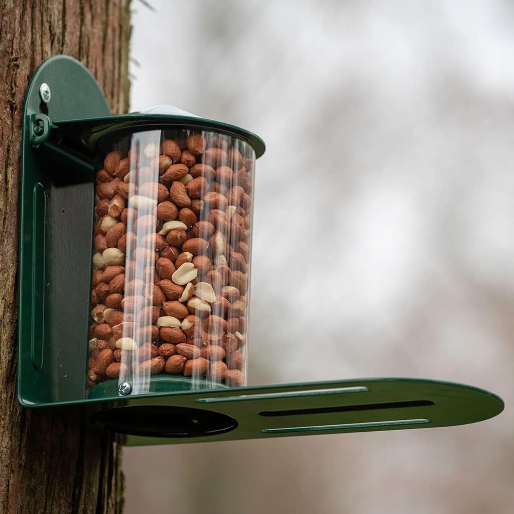 Green Metal Wild Squirrel Feeder - Garden Squirrel Feeding for Wildlife, Discourage Squirrels from Raiding and damaging Bird feeders by Providing Them with Their own Dedicated Feeder.