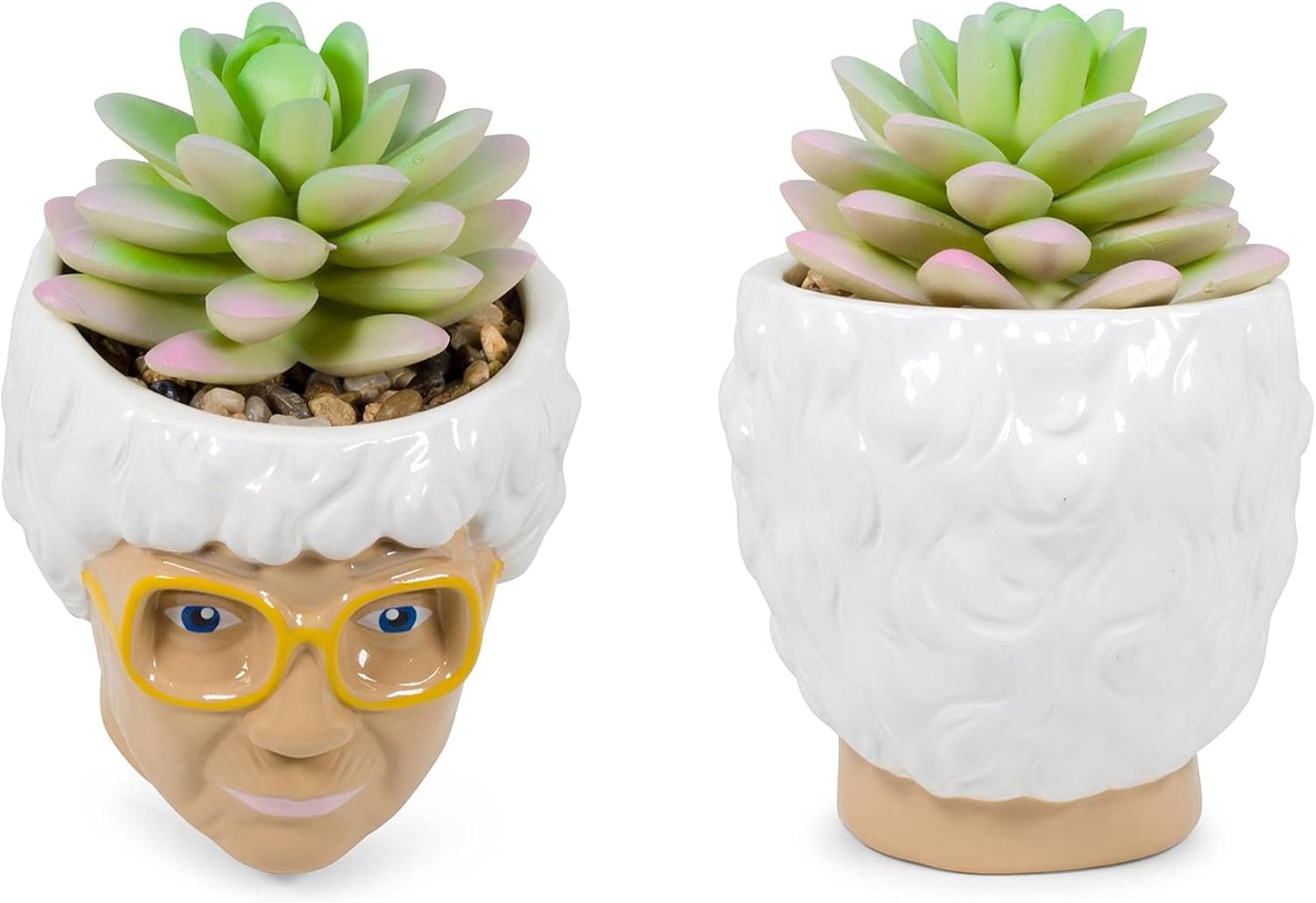 Silver Buffalo The Golden Girls Sophia Face Mini Ceramic Planter Decor | Official TV Show Collectible | Small Flower Pot for Indoor Plants, Includes Artificial Succulent | 3 Inches