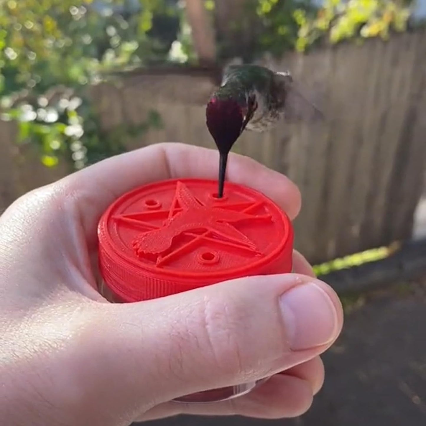 2025 Hand Hummingbird Feeders, Hummingbird Handheld Feeder, Handheld Bird Feeder Bottle Hummingbird Feeder Window Hummingbird for Outdoor Supplies