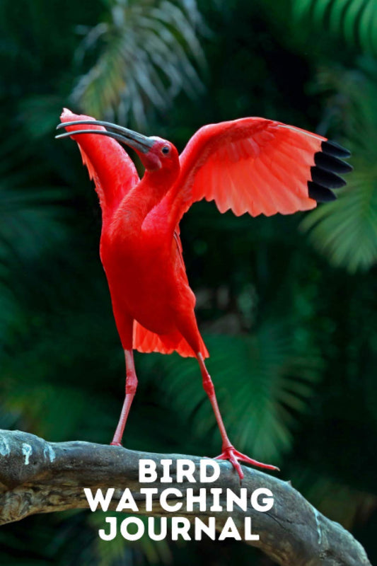 Bird Watching Journal: The Ultimate Bird Watching Log Book for Kids and Adults - The Most Important Bird Watchers Field Kit (Animal Journals)