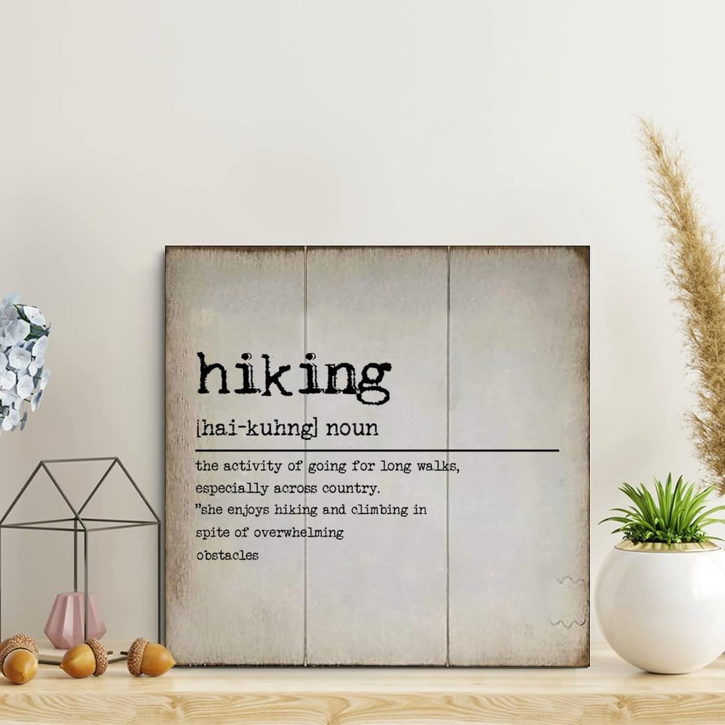 LITTLEGROVE SEEDS Vintage Wood Signs Hiking Definition Typography Wood Plaque Hiking Farmhouse Wall Art Rustic Wall Decorations for Living Room for Home Man Cave Gate Garden Bars Cafes 16x16in