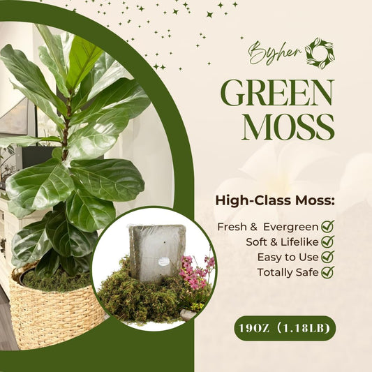 BYHER 19 OZ Fake Moss for Potted Plants Indoor, Artificial Moss for DIY Crafts, Faux Decroative Moss for Fake Plants Home & Garden Wedding Decor (Fresh Green - 540gr)