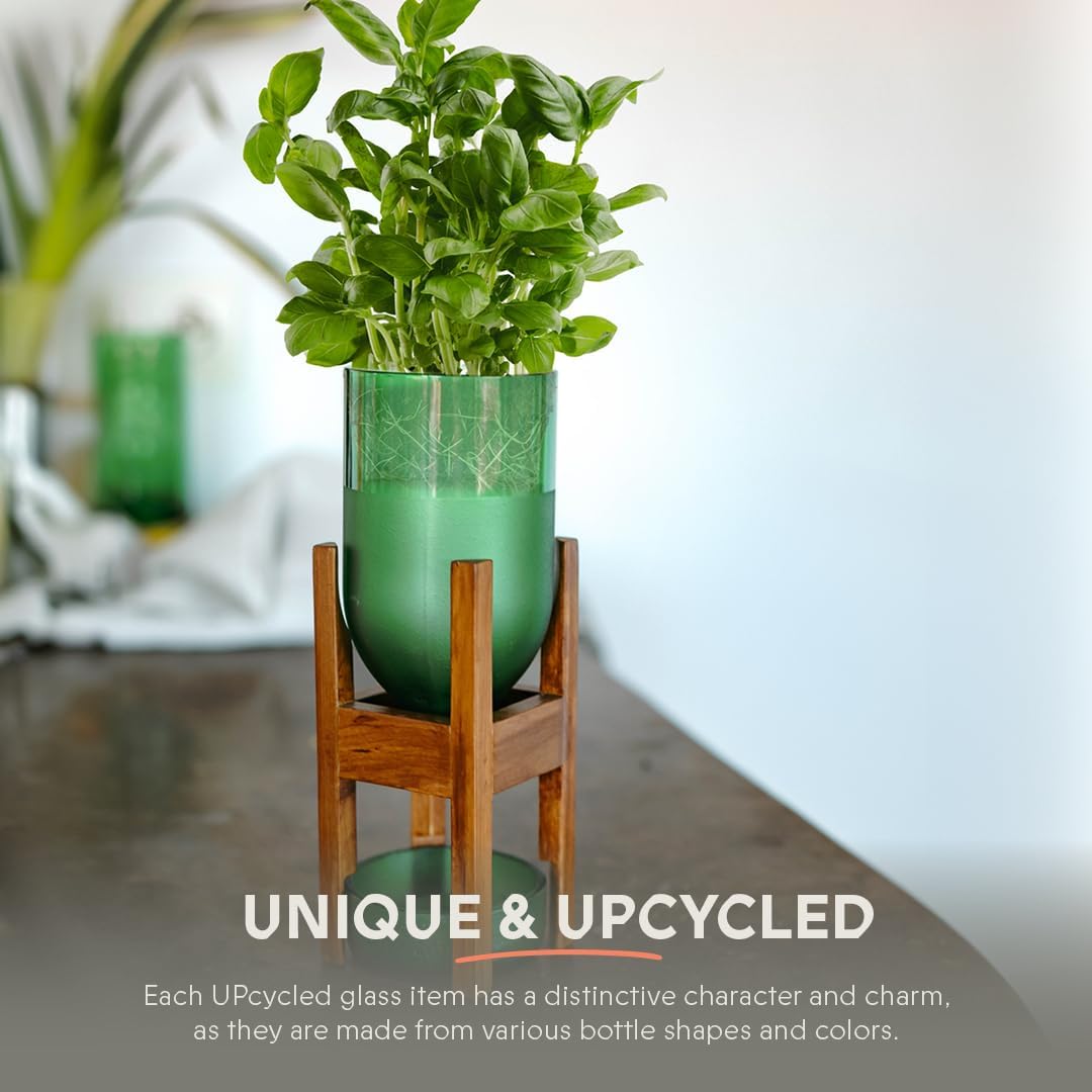 IWAS Upcycled Teak Wood Planter | Pilo High Green | 21.5 cm Height | Sustainable Indoor Plant Pot Stand with Teak Wood Base | Eco-Friendly & Handcrafted Home Décor