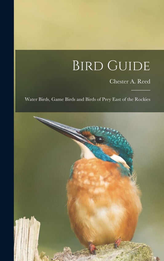 Bird Guide: Water Birds, Game Birds and Birds of Prey East of the Rock