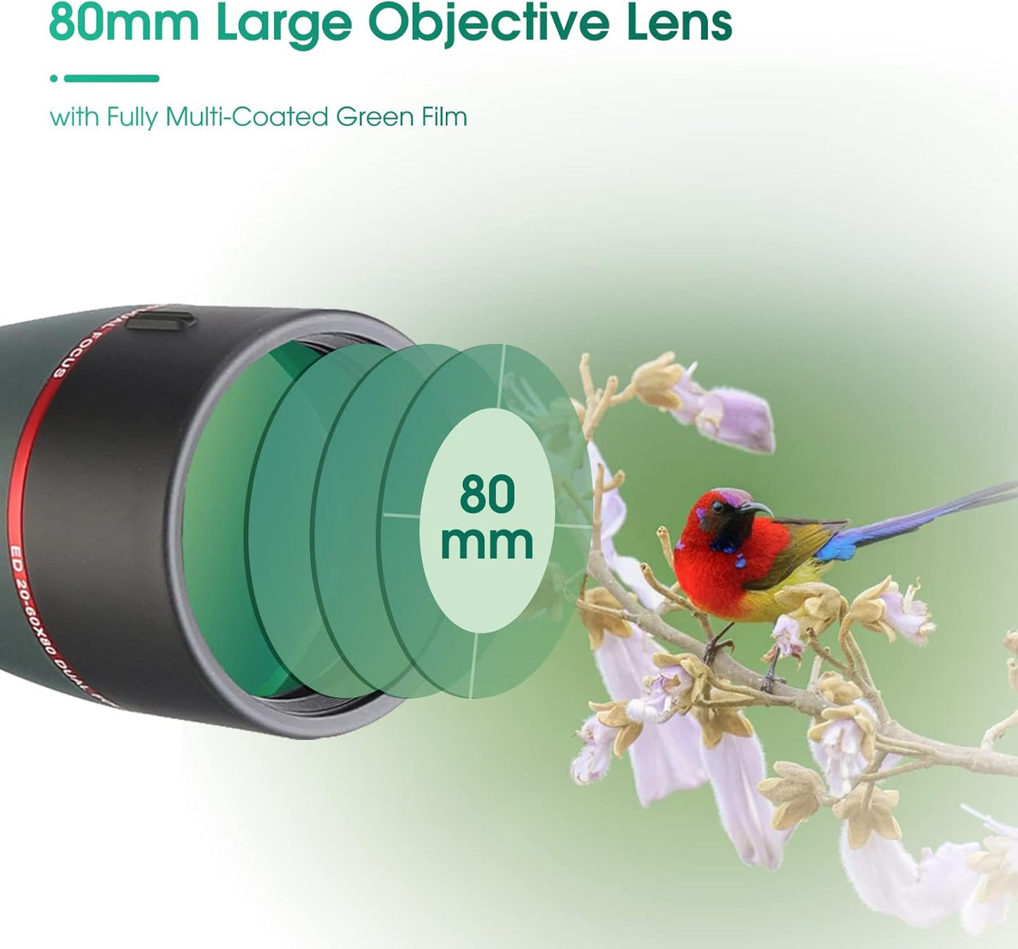 SVBONY SV406P 20-60x80 ED Spotting Scope, with Electronic Camera, ED Focal Lens True Color Representation, IPX7 Waterproof Digiscoping, Ultra High Definition Optics Scope for Bird Watching Wildlife