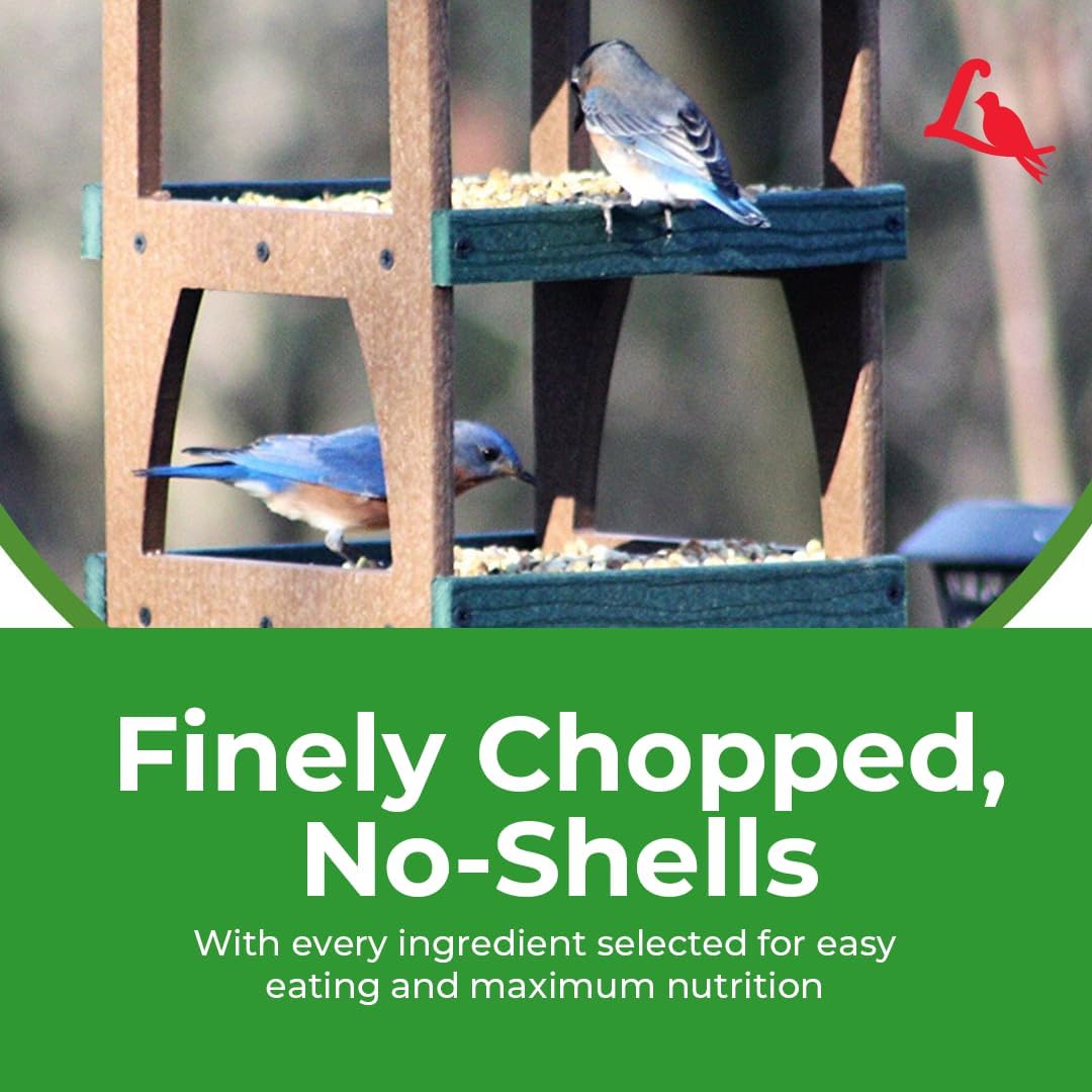 Lyric Peanut Pieces - Shelled Peanuts for Wild Birds 15 lb and Lyric F