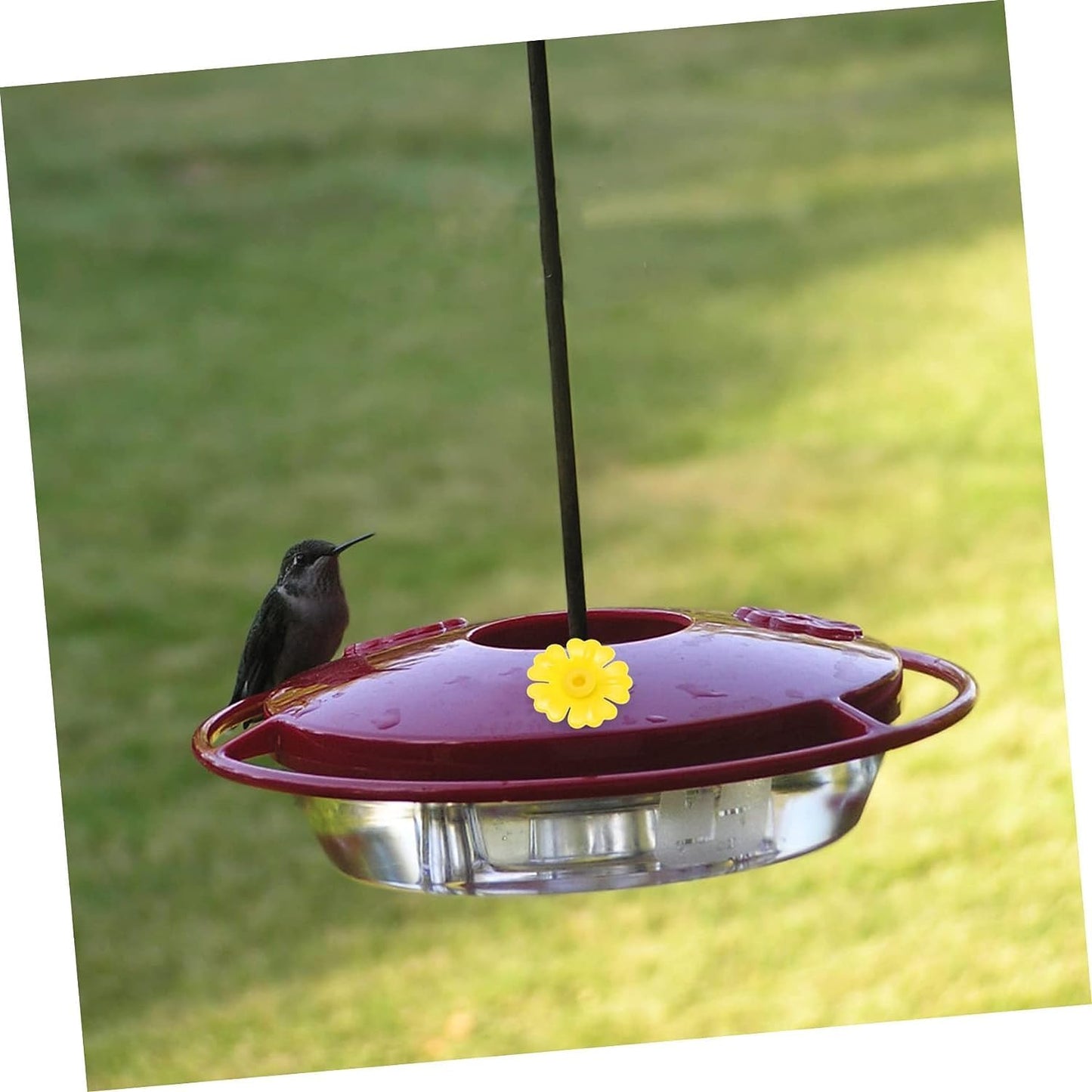 Hummingbird Feeder Flowers,30 Set Bird Hanging Feeding Ports Replacement Parts Bird Feeder Supplies for Hummingbird Feeder Hanging Feeder (Yellow)