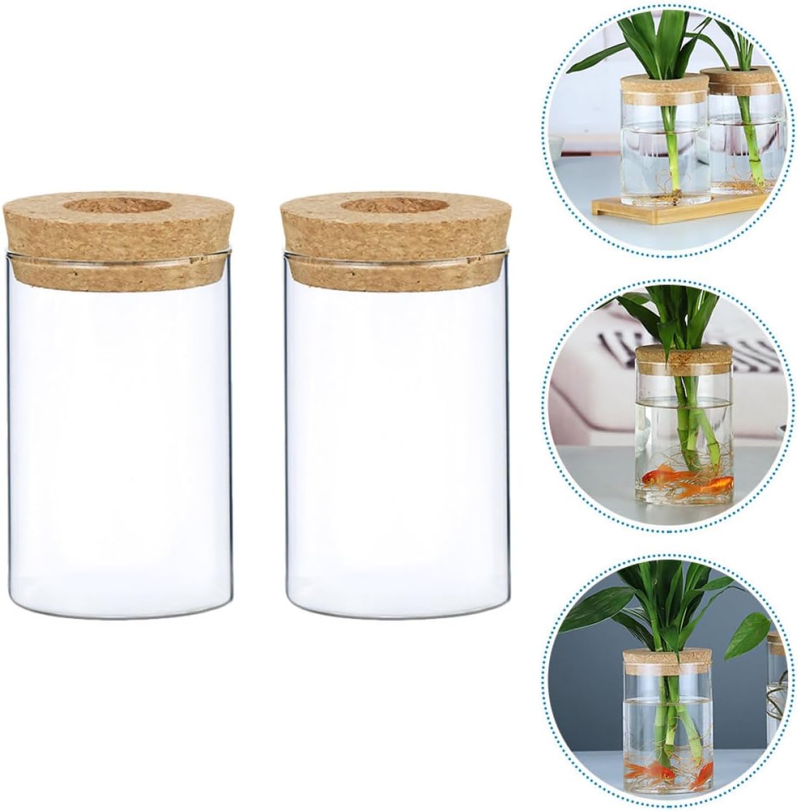 PRETYZOOM 2pcs Decorative Glass Vase with Wooden Cork Small Hydroponics Flower Pot for Indoor Greenery Stylish Planter for Home and Office Decor