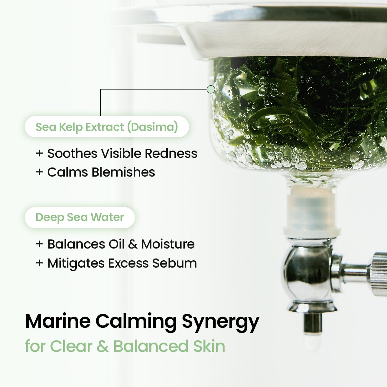 BIODANCE Refreshing Sea kelp Real Deep Mask, Overnight Hydrogel Face M