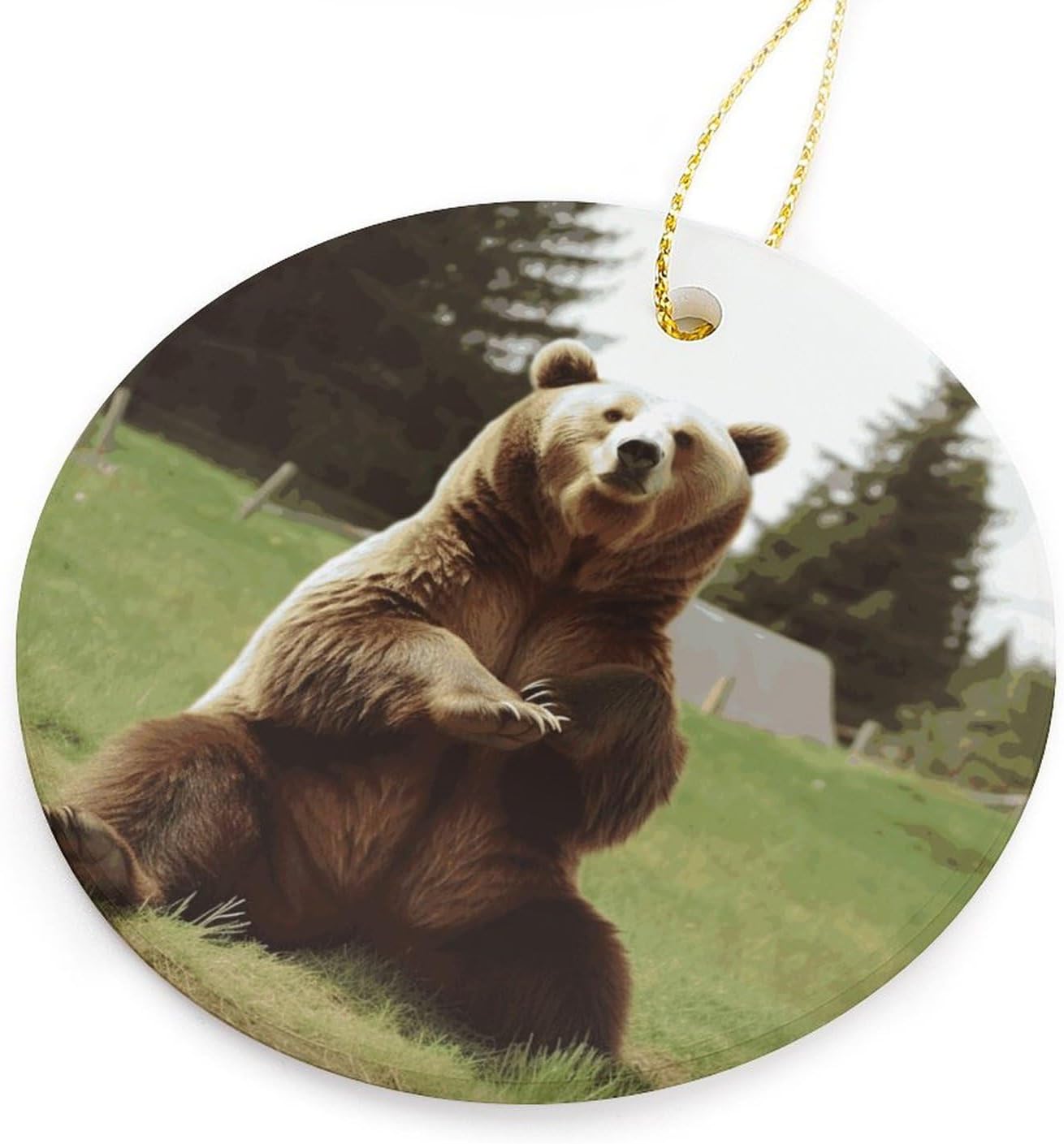 Hi Bear Sit on The Lawn Sublimation Ceramic Ornaments Round Hanging Ornament Fashion Pattern Pendant Double-Sided Printing Hanging Decorations for Home Party Mall Wall Decor