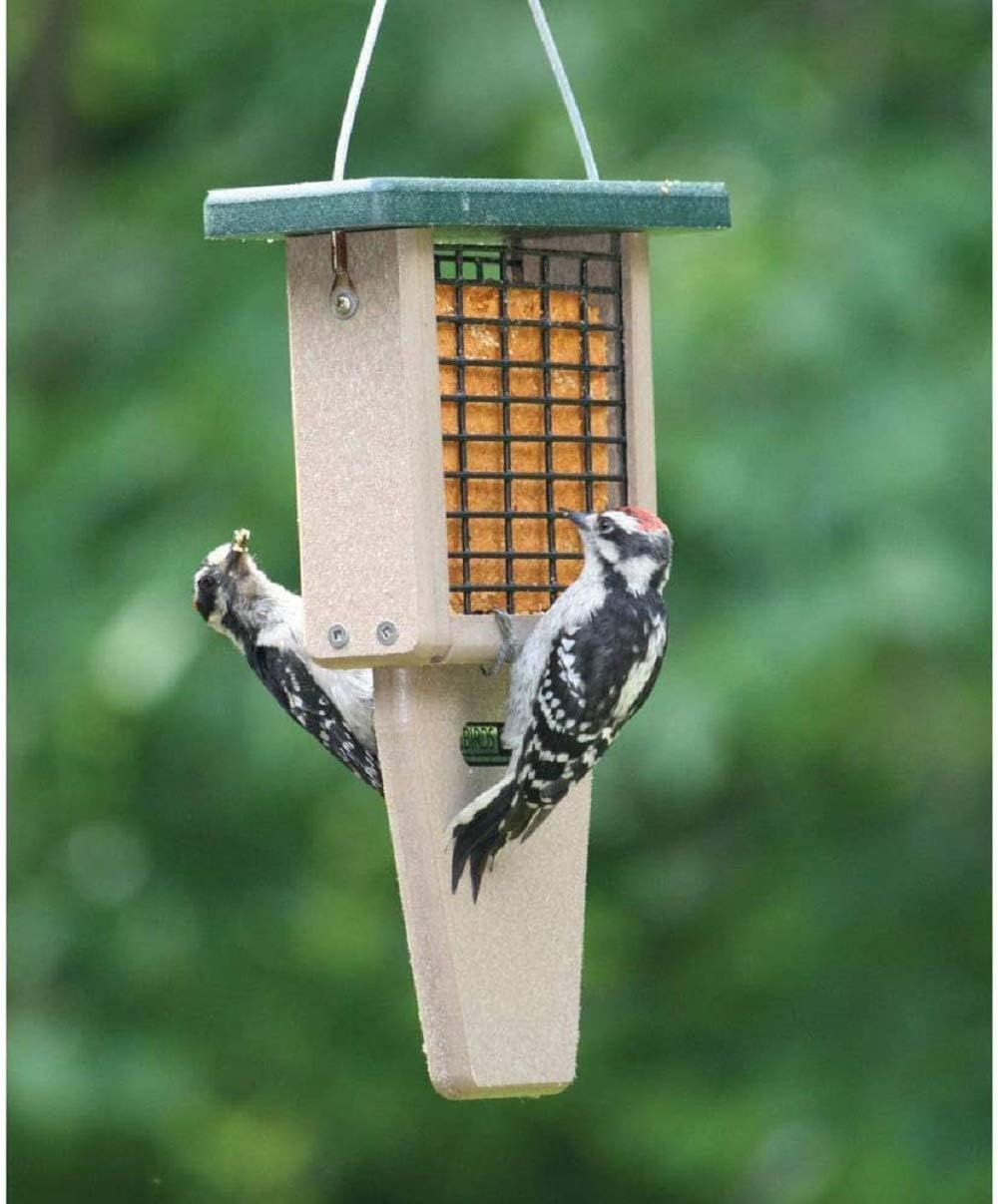 Naturesroom Poly-Lumber Prop Suet Feeder for Birds - Include 2 Bonus Suet Cake Cage Feeder Packs -Premium Insect and Peanut Suet Cakes for Feeder Basket Holder, Green/Brown, 12"L x 8"W X 3"D (sntp)