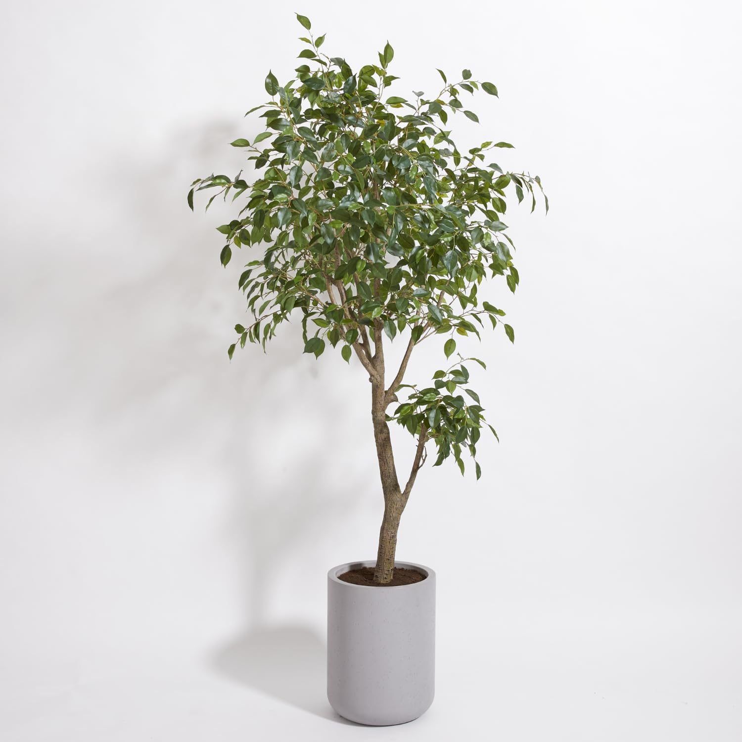 CG Hunter Faux Ficus Tree, Premium Artificial Indoor Plant Stands 6.5’