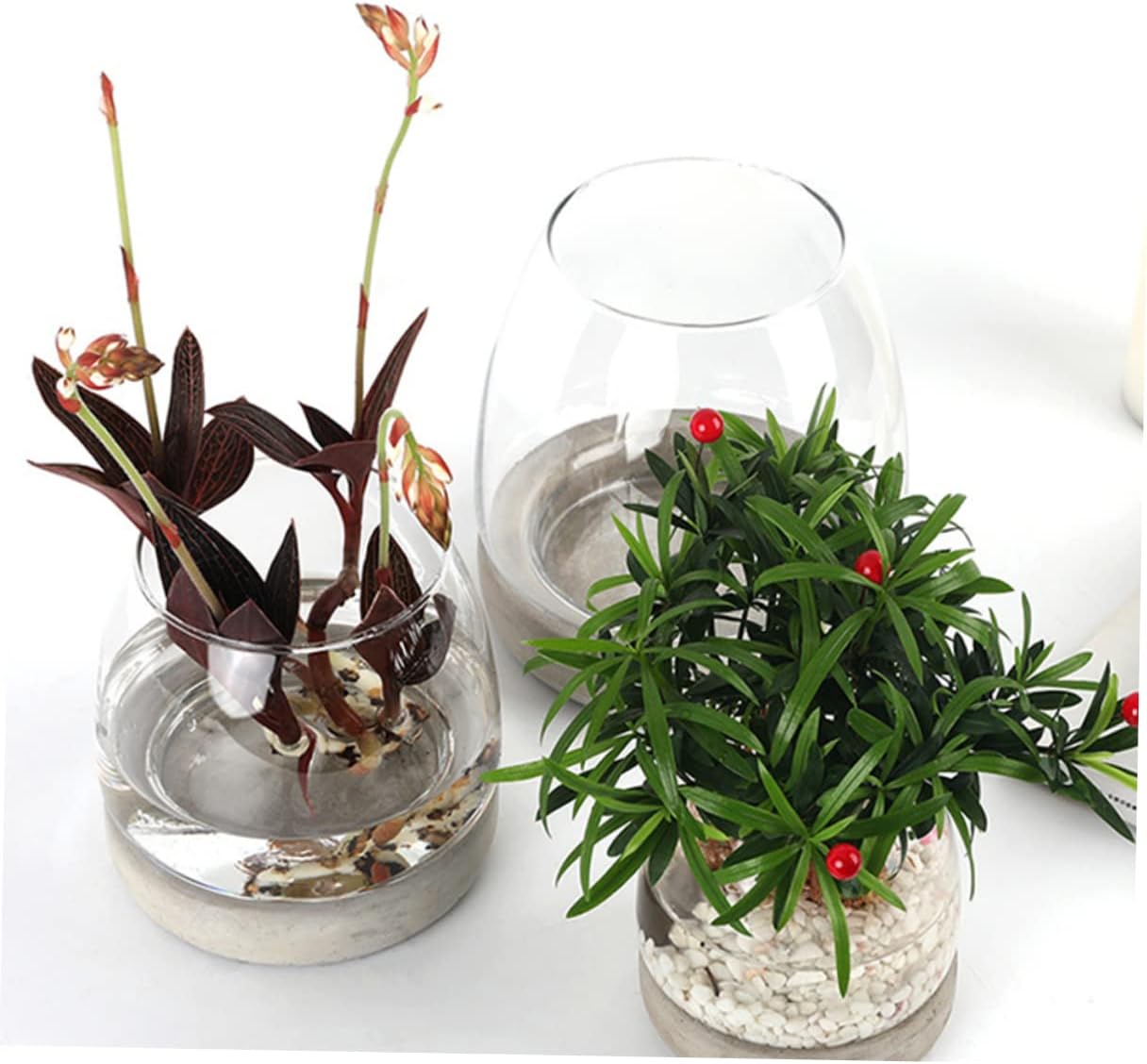 PRETYZOOM Cement Bottom Glass Vase Flower Container Decor Modern Hydro