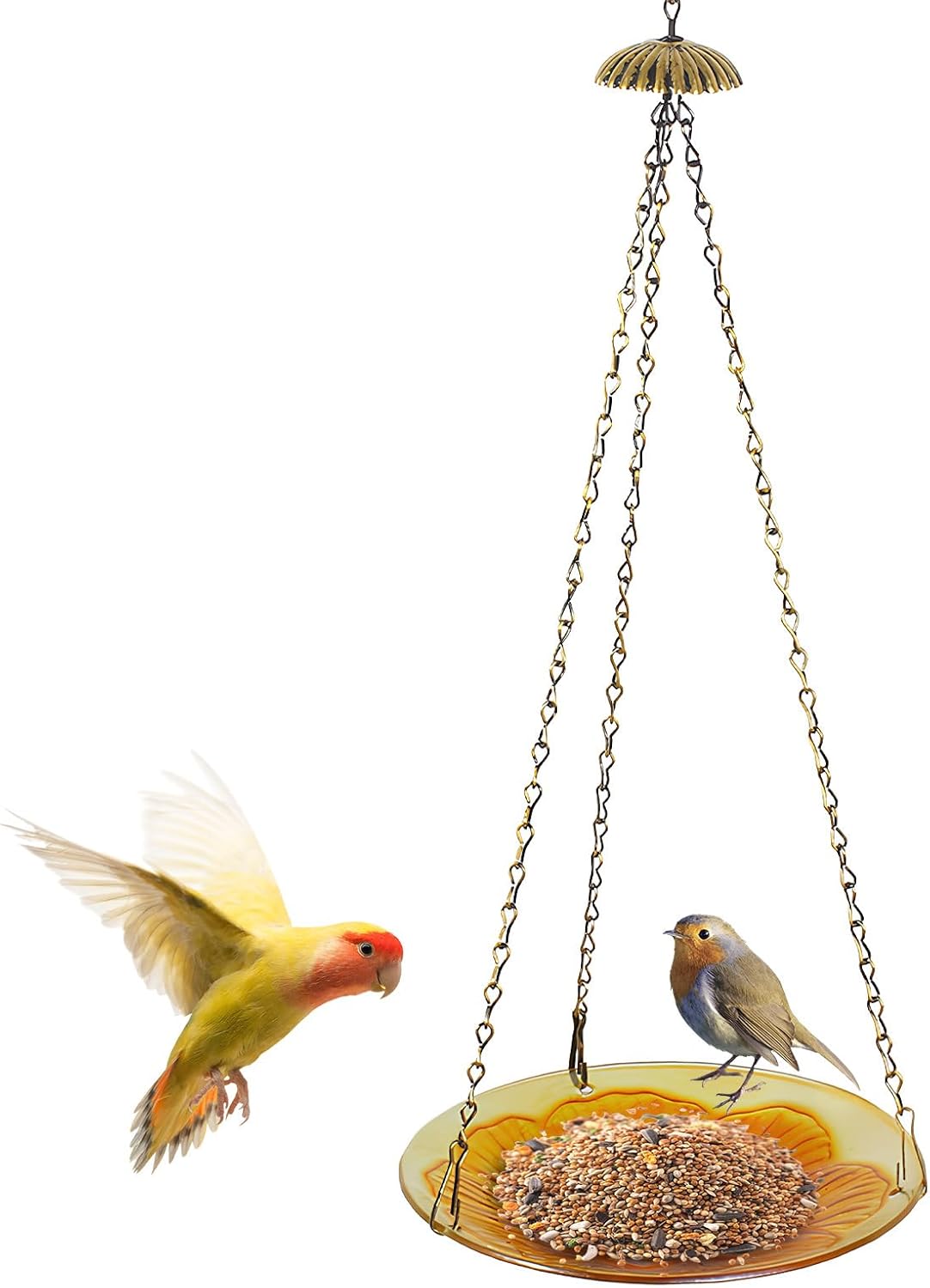 Bird Feeder - Floral Pattern Dish | Bird Feeding Station | for Outdoor