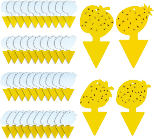 Fruit Fly Trap & Fungus Gnat Traps 40 Pack – Yellow Sticky Gnat Traps 