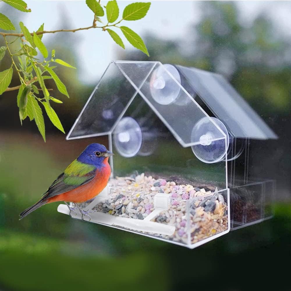 Window Bird Feeder, Bird House for Outside with 2 Rod, Small Acrylic Window Bird Feeder with Strong Suction Cups and Drain Holes 5.9 * 2.4 * 5.9 inch