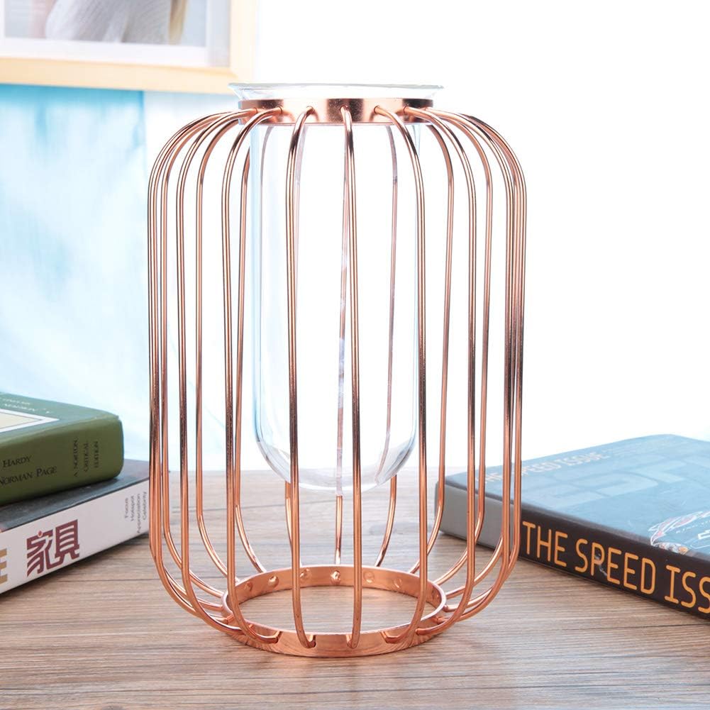 Lantern Shaped Wrought Iron Vase with Glass, Creative Simple Design fo