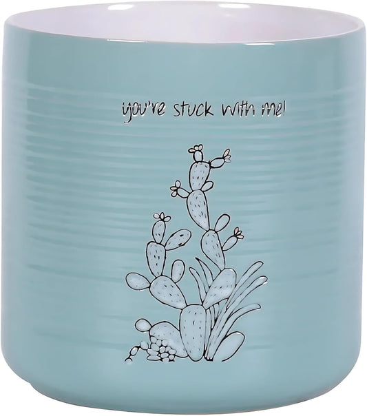 Sanora Cactus 6.5'' Flower Pot, Multi Color