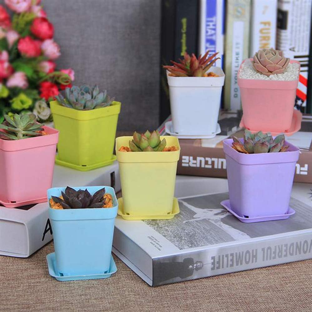 Haawooky 24 Pack Colorful Flower Pots Square Plastic Plant Pots Succul