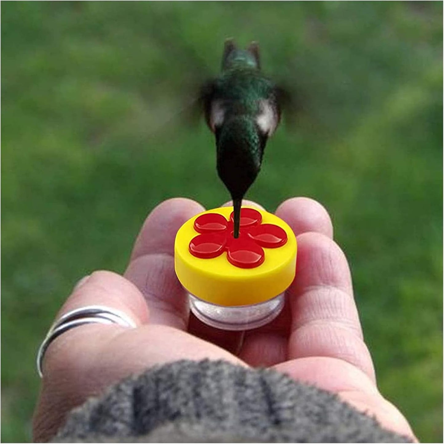 4 Pack Handheld Hummingbird Feeders Best Hummingbird Feeder with Perches Strong Suction Cups and Cleaning Brush for Outdoors Wild Humming Bird Feeding Multifunctional Window Feeders