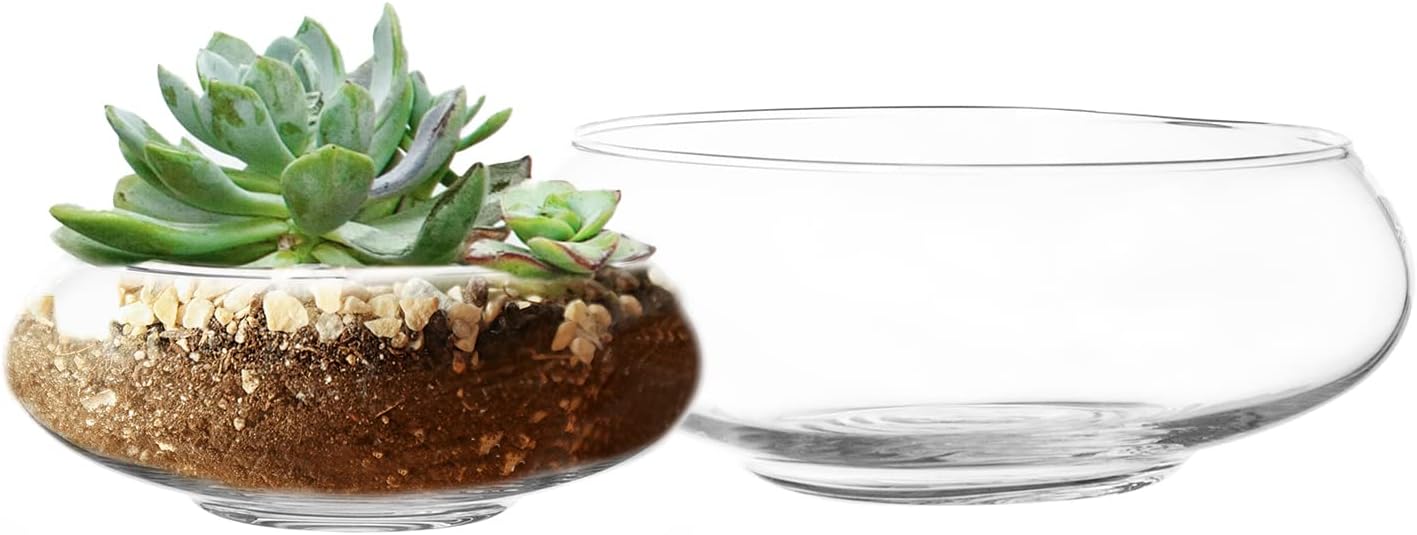 Royal Imports Round Glass Vase Set of 2 – Clear Decorative Glass Bowls for Flowers, Terrariums, Succulent Planters, Bubble Vases, Floral Decor Centerpieces, Glass Flower Pots for Home or Wedding Décor