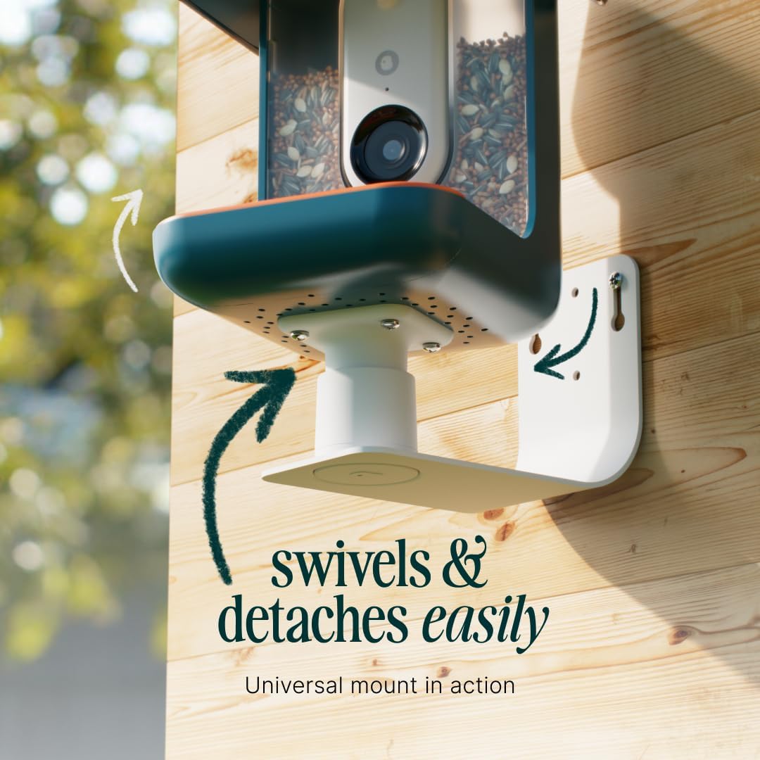 Birdbuddy Wall Mount - Versatile Bird Feeder Wall Mount for Wall & Fences - Durable, Weather-Proof Heavy Duty and Secure & Stylish Outdoor Feeder Accessory