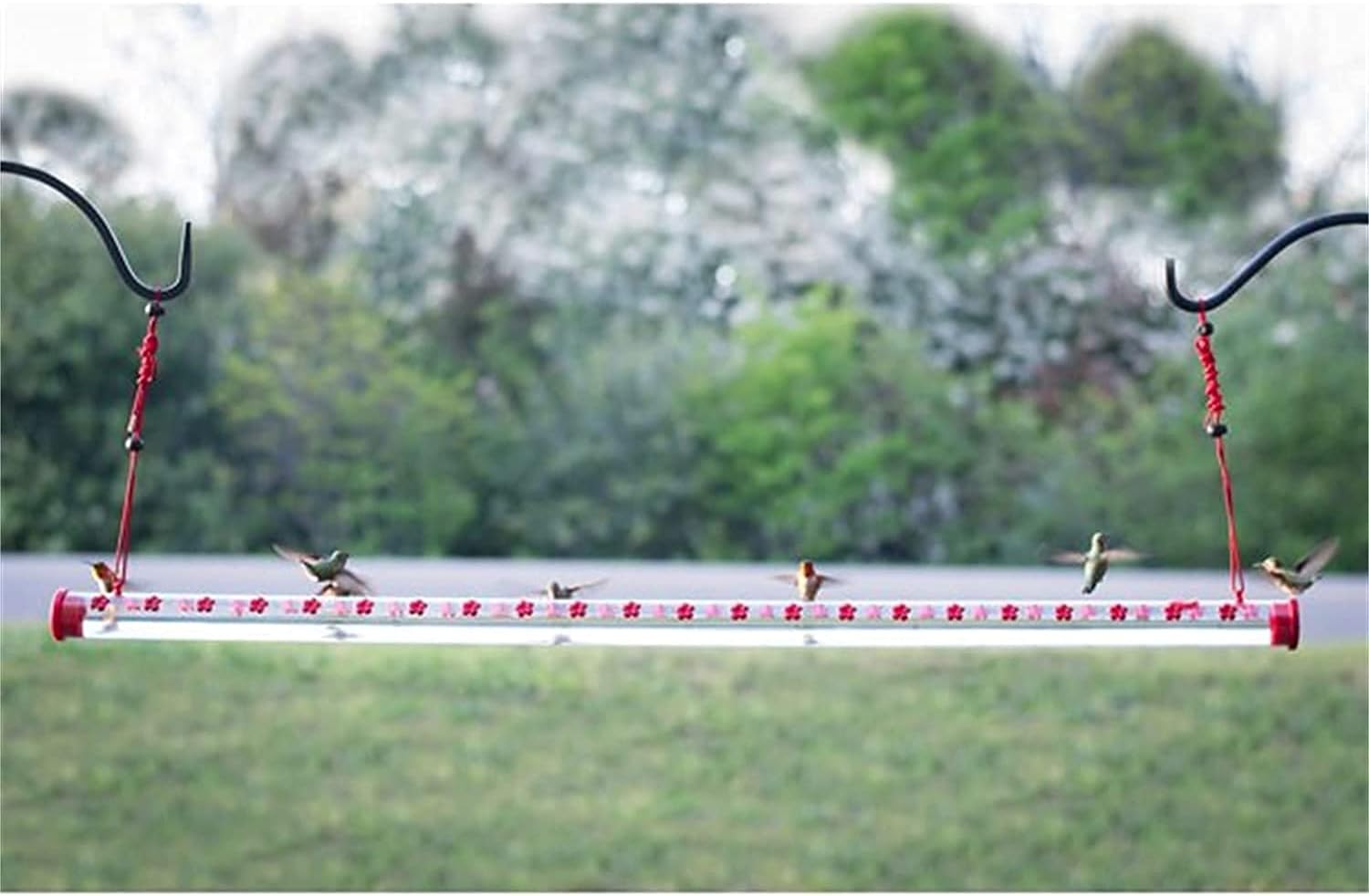 Hummingbird Feeder Transparent Tube Horizontal Hummingbird Feeders for