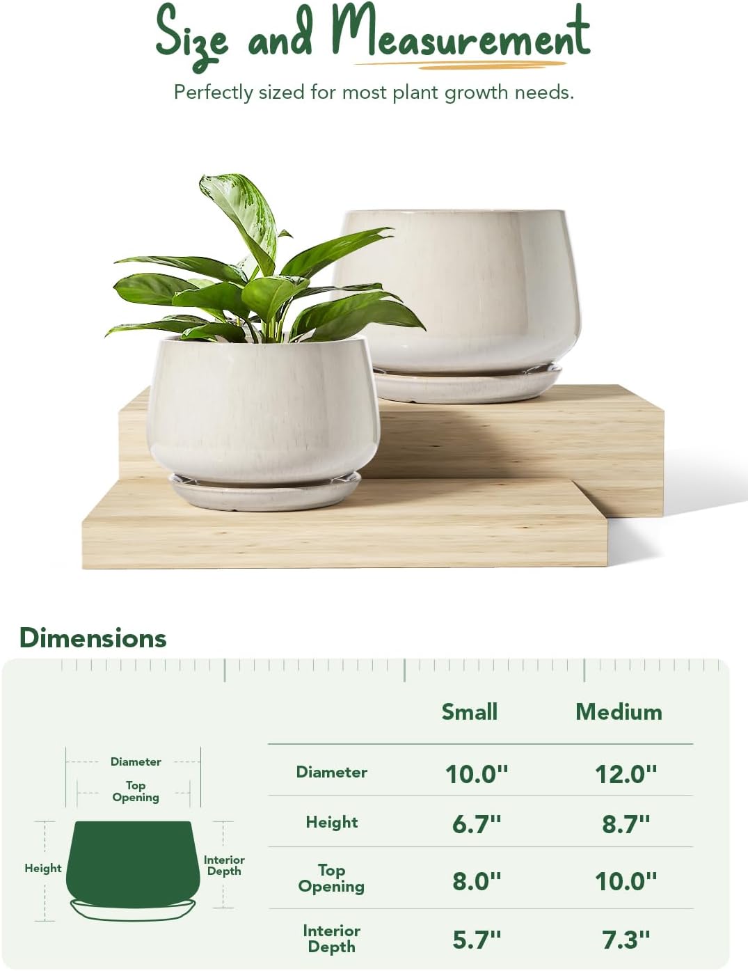 LE TAUCI Ceramic Plant Pots, Set of 2, 10 + 12 Inch Plant Pot, Elegant