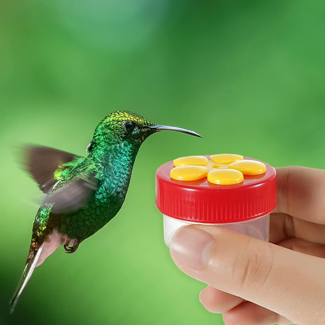 Hand Held Hummingbird Ring Feeders, 3Pcs Mini Hummingbird Hand Feeder with Cleaning Brush,Window Humming Wild Bird Feeders Tools for Outdoors Supplies,2 Styles, Red and Yellow