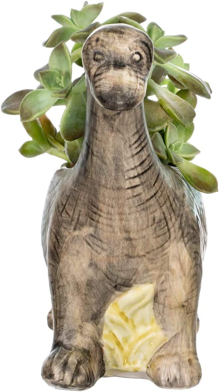 Nautical Crush Trading Animal Planter, Dinosaur Succulent Ceramic Pot, 7.5x9.5x3 inches, Indoor