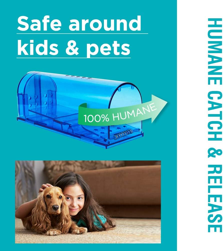 Humane Mouse Trap | Catch and Release Mouse Traps That Work | Mice Tra