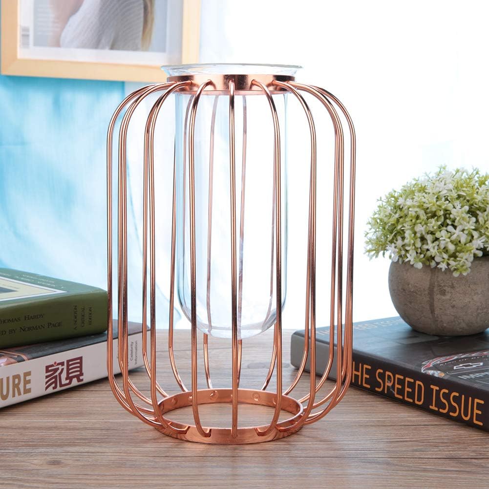 Lantern Shaped Wrought Iron Vase with Glass, Creative Simple Design fo
