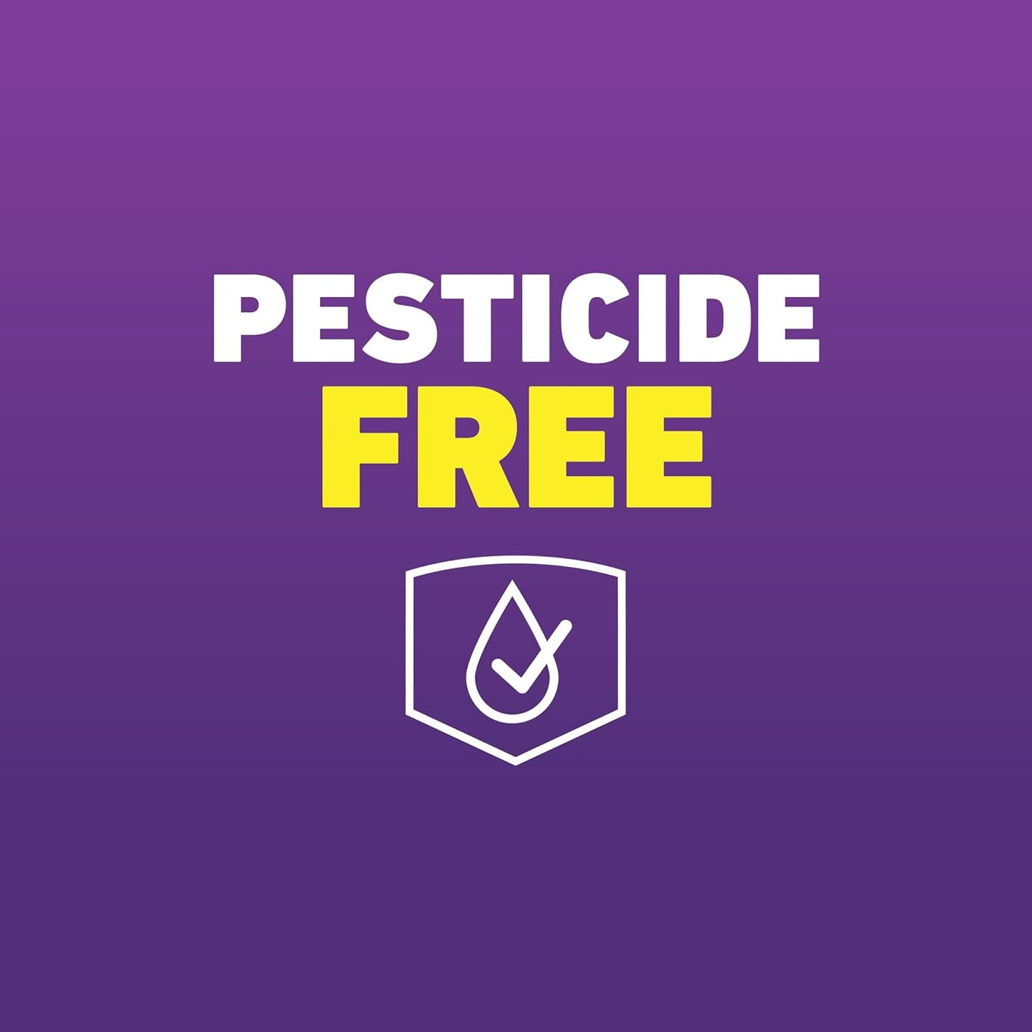 Ortho Home Defense Max Bed Bug Trap, Detect Bed Bugs in Homes and Whil