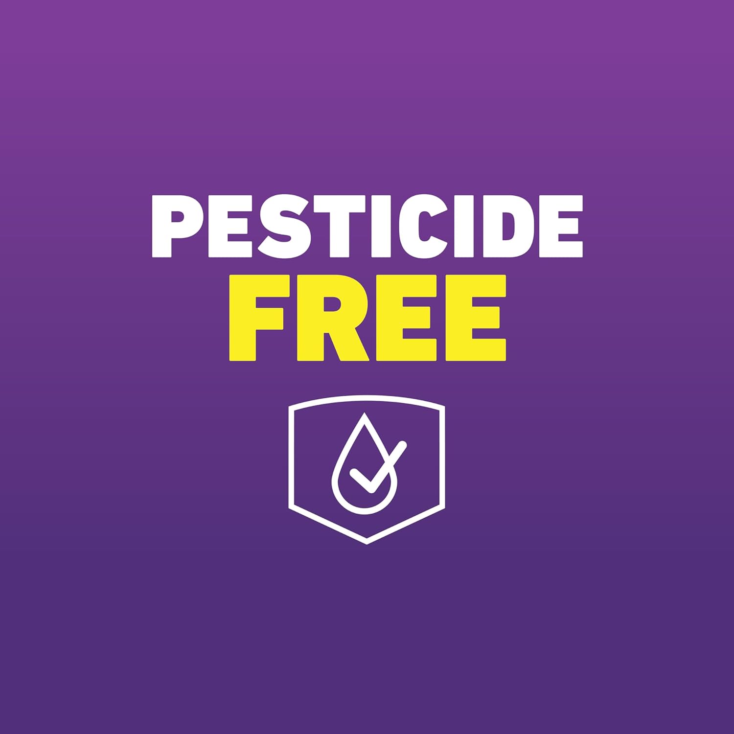 Ortho Home Defense Max Bed Bug Trap, Detect Bed Bugs in Homes and Whil