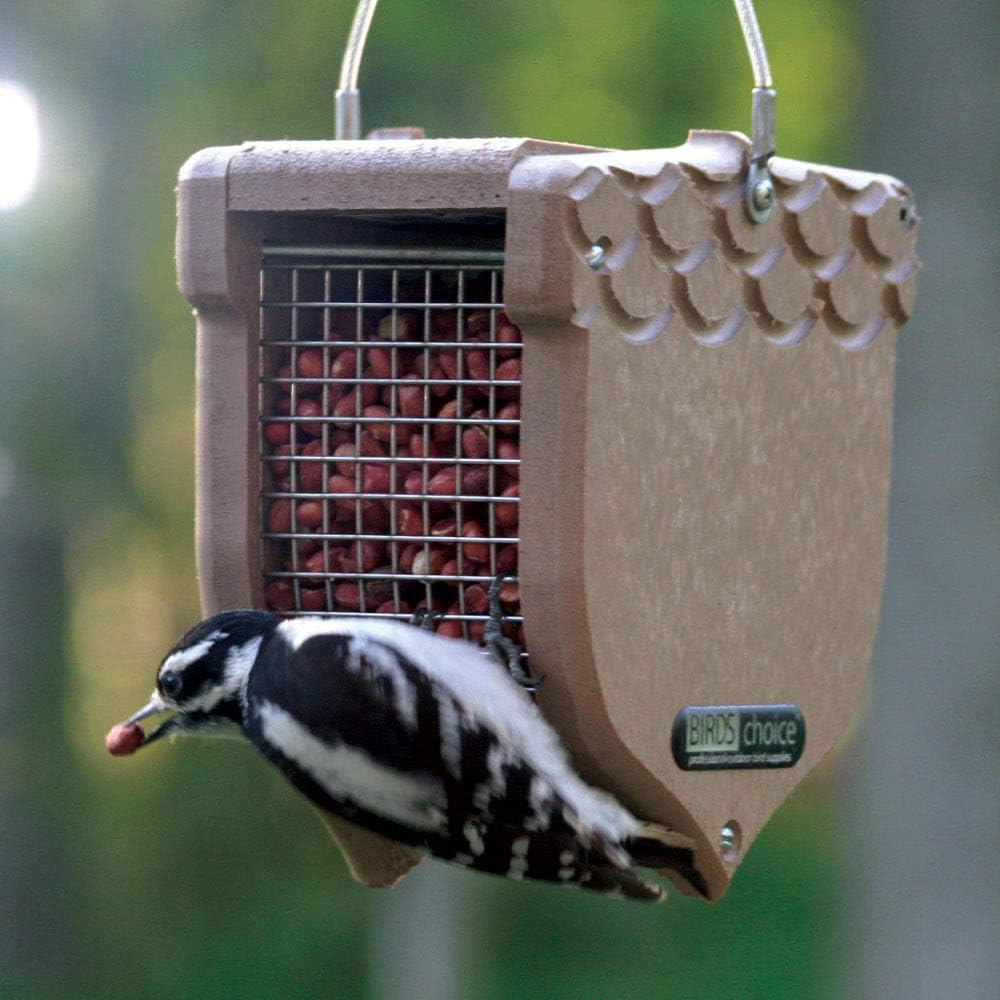 Birds Choice ACORN Peanut Feeder, Acord-Shaped Bird Feeder, 1 Quart, Taupe