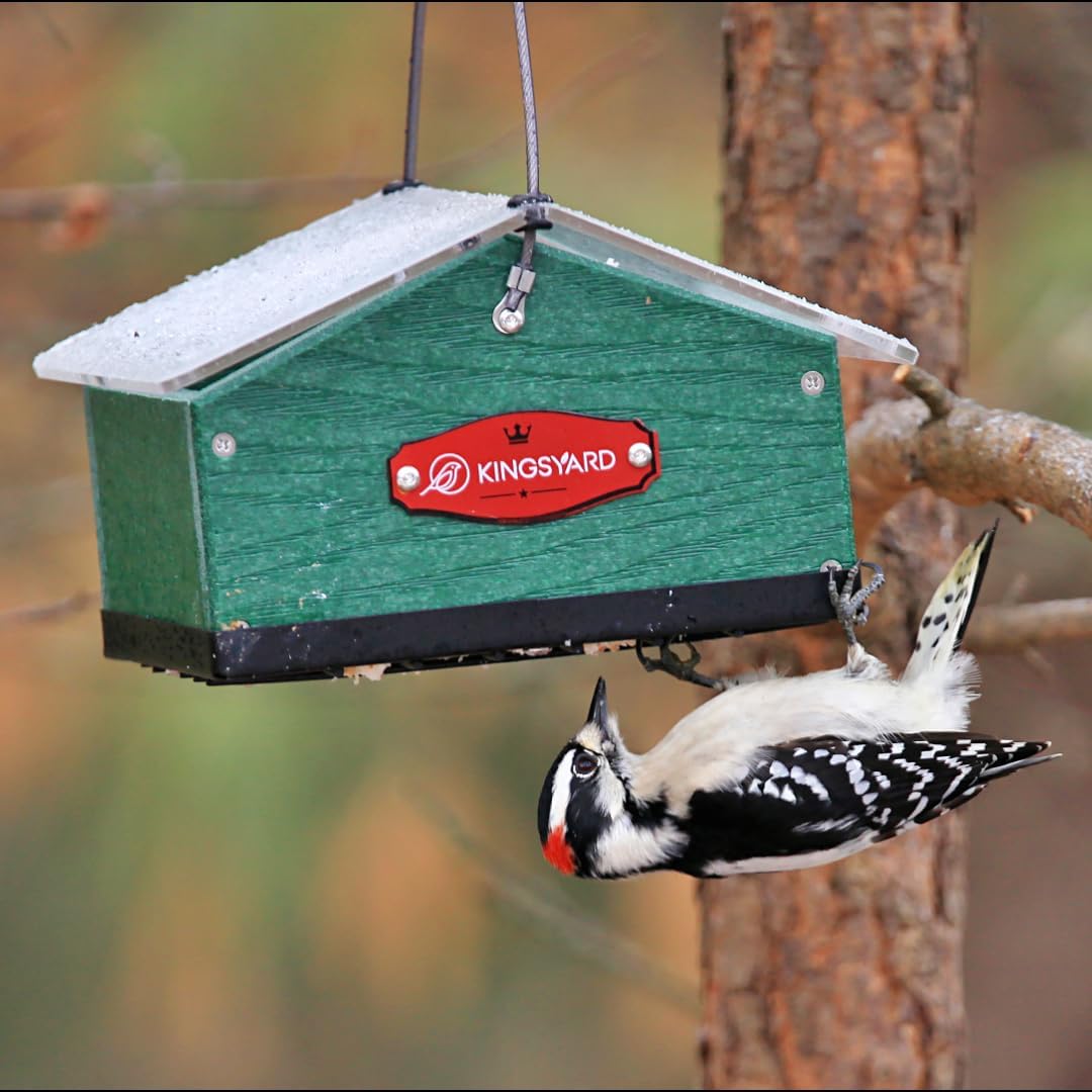 Kingsyard Upgraded Upside Down Double Suet Feeder for Outside Hanging, Squirrel-Proof Metal Edging, Wild Bird Feeder with Metal Weatherproof Roof, Attracting Woodpeckers, Nuthatches, Titmouse