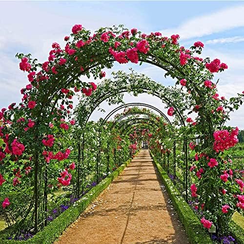 Metal Garden Arch Trellis - Weather Resistant Climbing Plant Stand, Outdoor Wedding Decor Arbor Pergola Frame for Lawn & Backyard, 300x220x25cm, Durable & Elegant Design