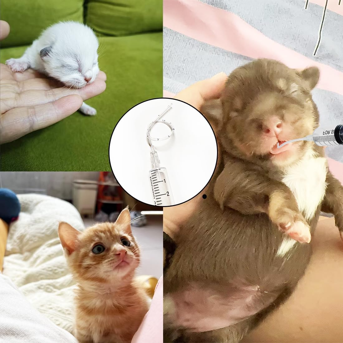 11pcs Puppy Kitten Feeding Tube Kit for Small Animals and Clear Feedin