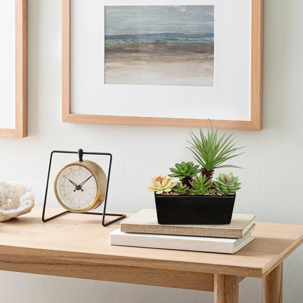 Artificial Succulents Plants in Black Ceramic Planter Assorted Faux Succulents in Pots Arrangement 8.7" Fake Succulent Potted Plant for Home Office Desk Bathroom Shelf Living Room Indoor Outdoor Decor
