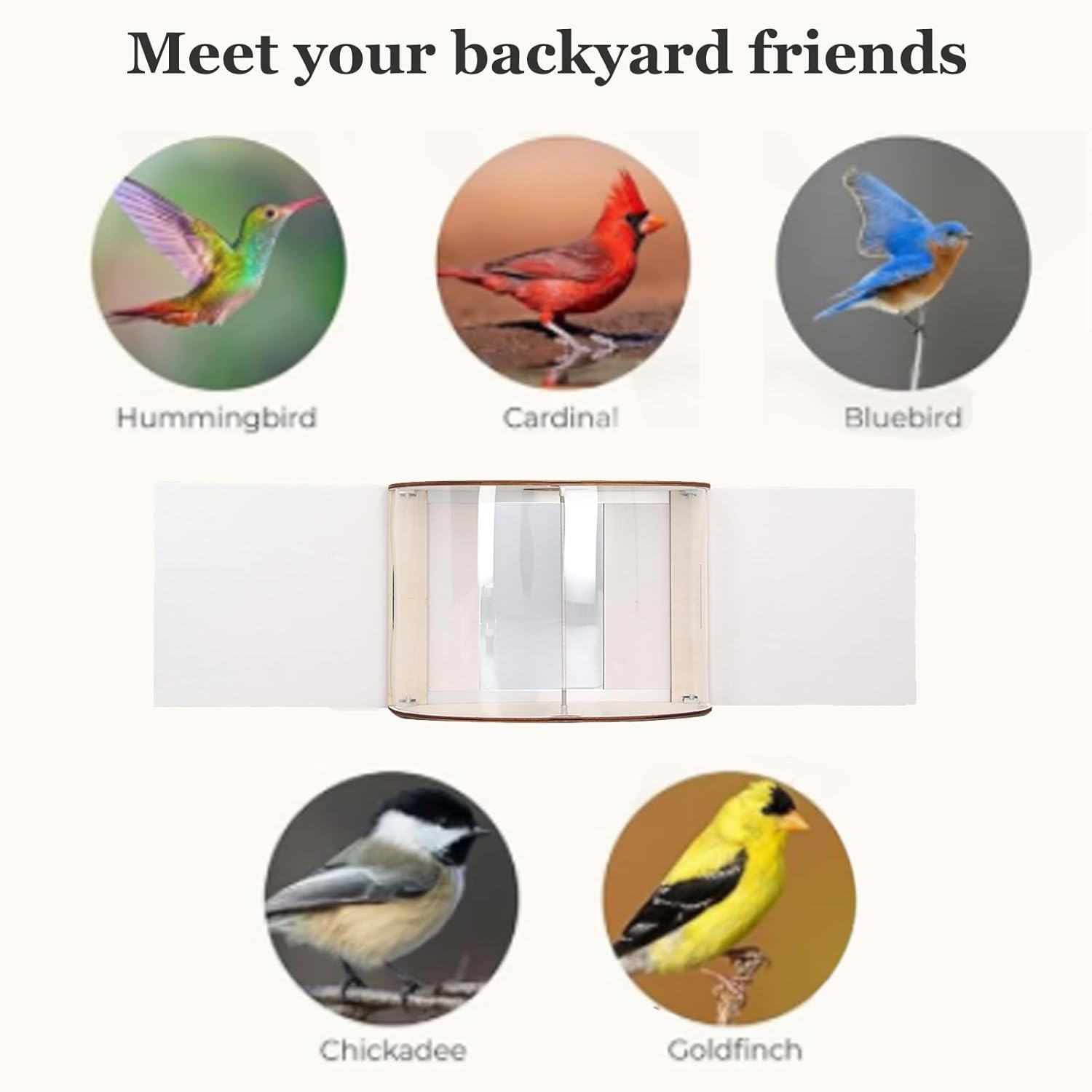 Window Bird Feeder Inside House Rain Proof Adjustable Inlet Stable 180