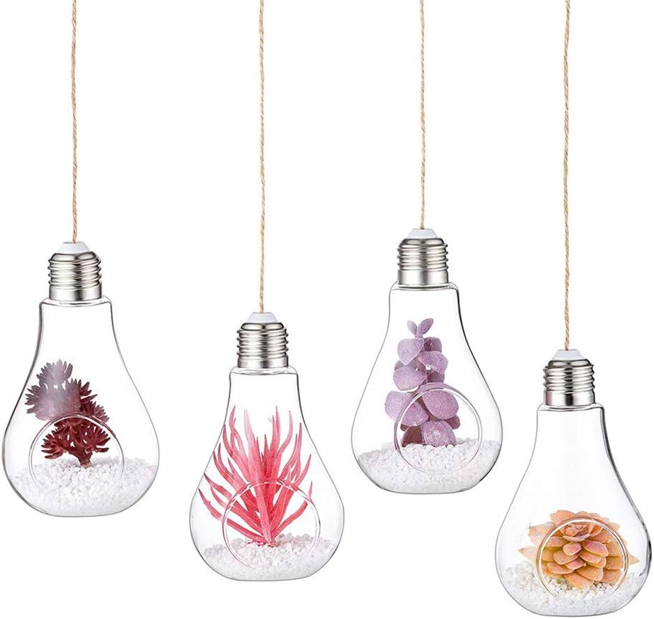 Water Plant Containers Light Bulb Shaped Flower Pots Glass Flower Hanging Glass Plant Vase Gift Kitchen