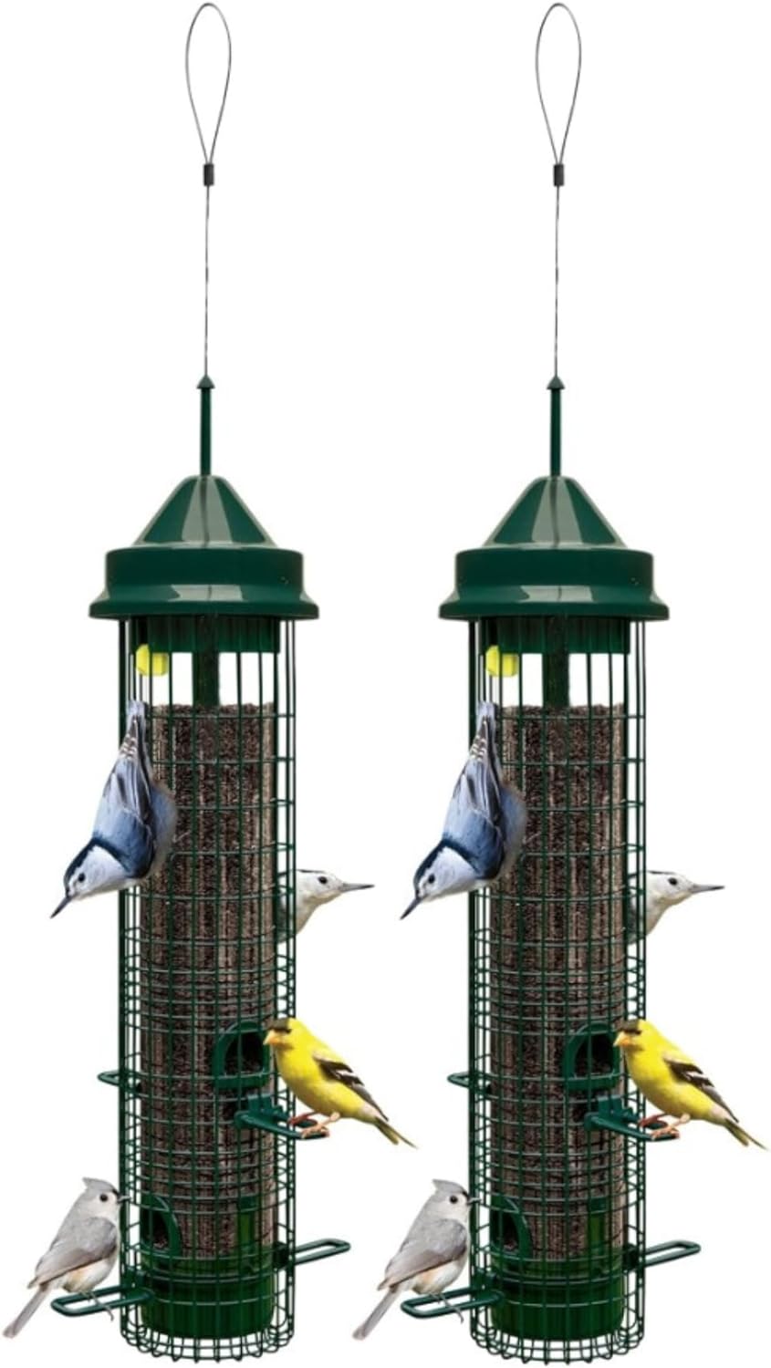 Brome Squirrel Buster Classic Squirrel-Proof Bird Feeder with 4 Feeding Ports, 2.4-Pound Seed Capacity (2 Pack)