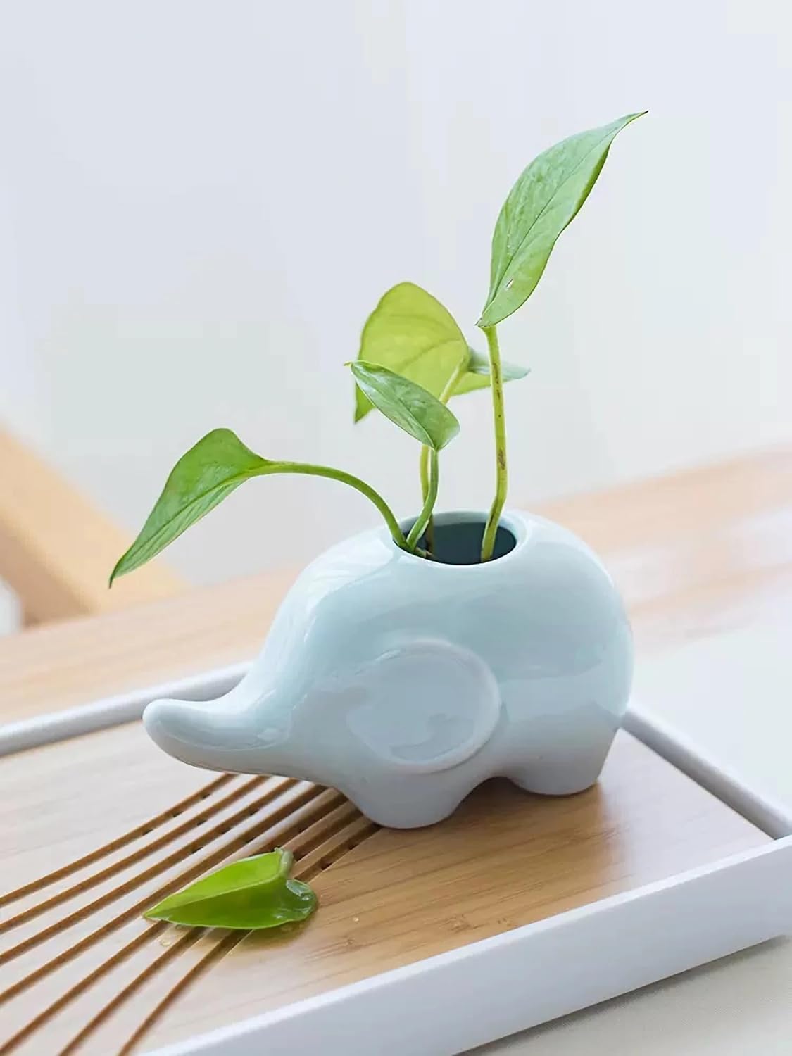 GeLive Cute Elephant Pen Pencil Holder Ceramic Desk Fidget Decor Organizer Mini Hydroponic Vase Small Air Plant Pot Succulent Planter Tabletop Craft Ornament Light Greenish Blue