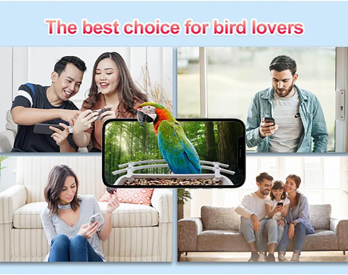 Smart Bird Feeder with Camera, AI Bird Species Identification, Solar P