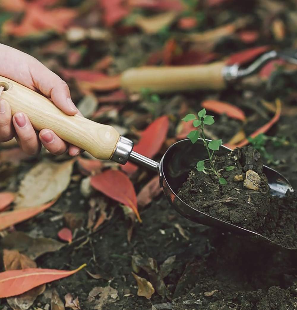 Enjoyer Transplanter Trowel with Ergonomic Grip,Stainless Steel Garden
