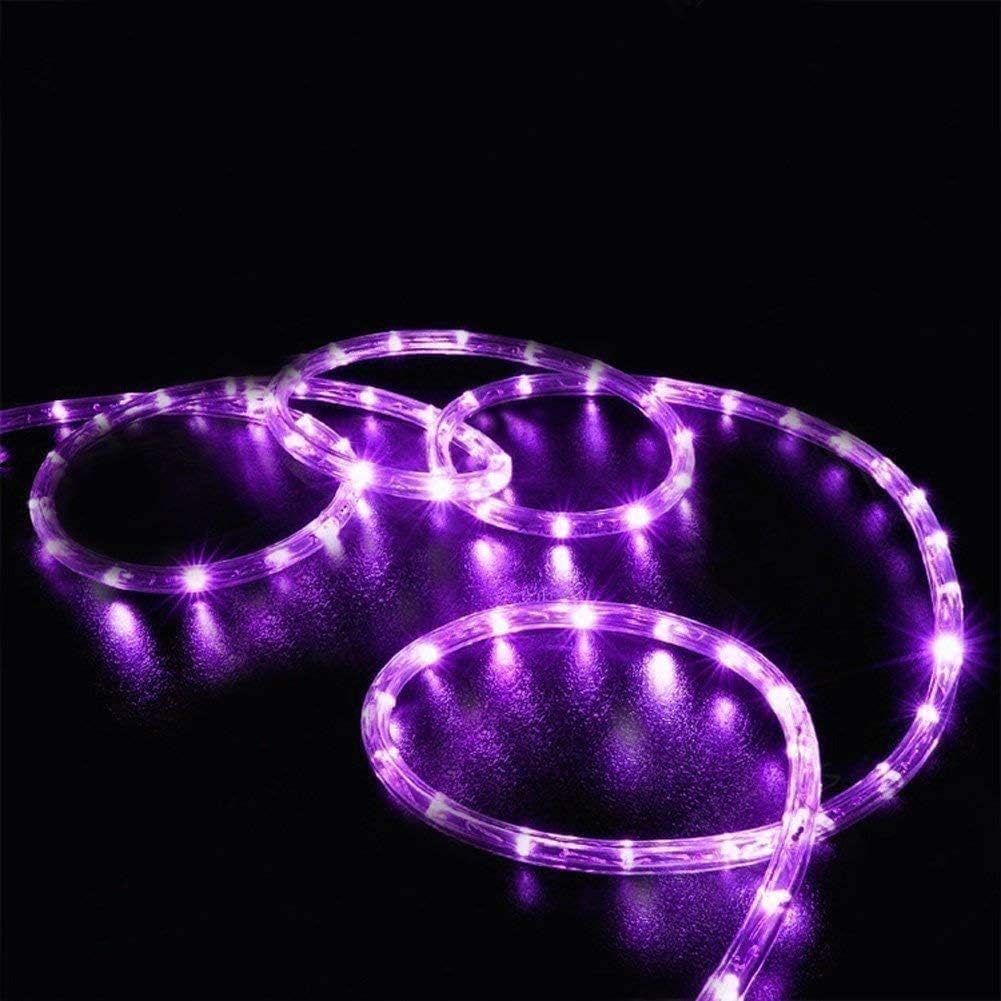 Solar Rope Lights, 500 LEDs 170ft Waterproof Solar Rope Lights with Copper Wire, Patio, Path, Tree, Holiday and Party Decorative (Purple)